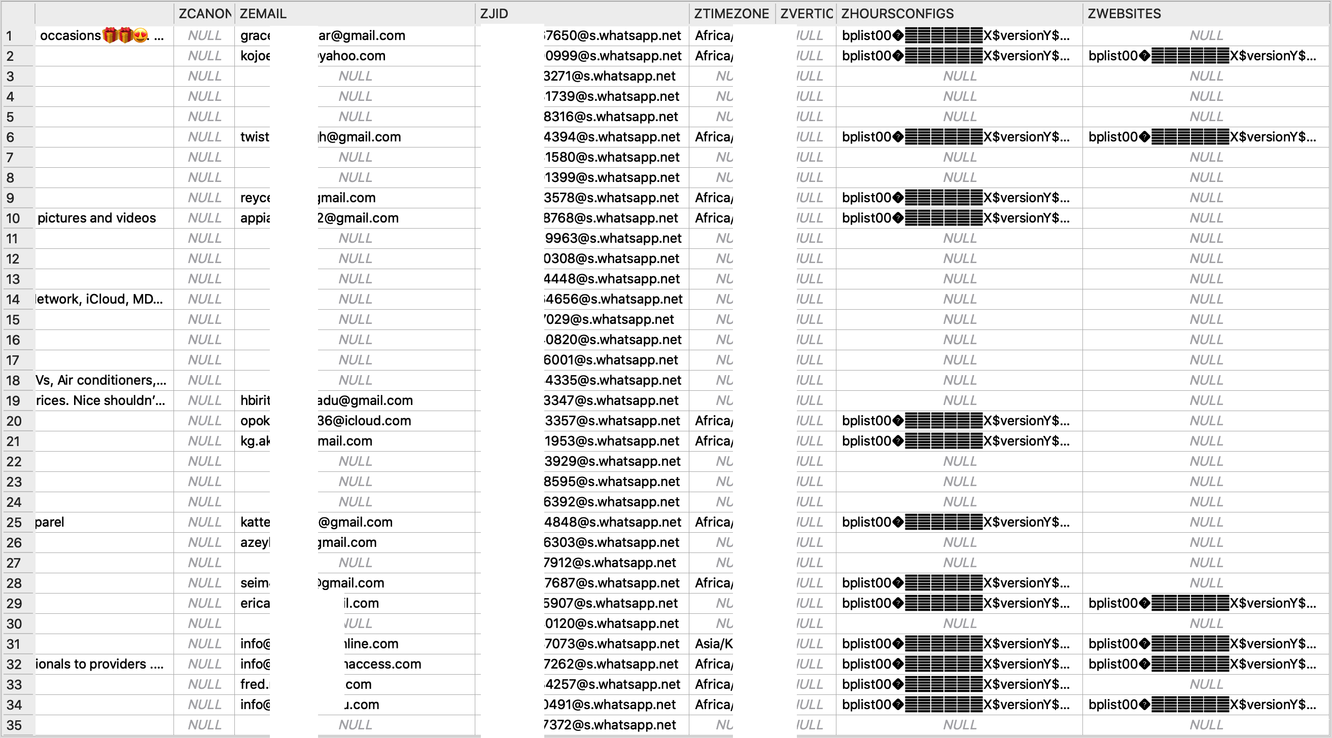 Details of WhatsApp Business Clients